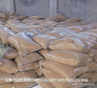 發酵飼料 抗生素替代與中小養殖場無抗養殖的可行性分析