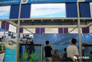 近500家水產(chǎn)產(chǎn)業(yè)鏈企業(yè)齊聚合肥漁博會(huì)，現(xiàn)場(chǎng)亮點(diǎn)紛呈，行業(yè)盛事引領(lǐng)產(chǎn)業(yè)新方向